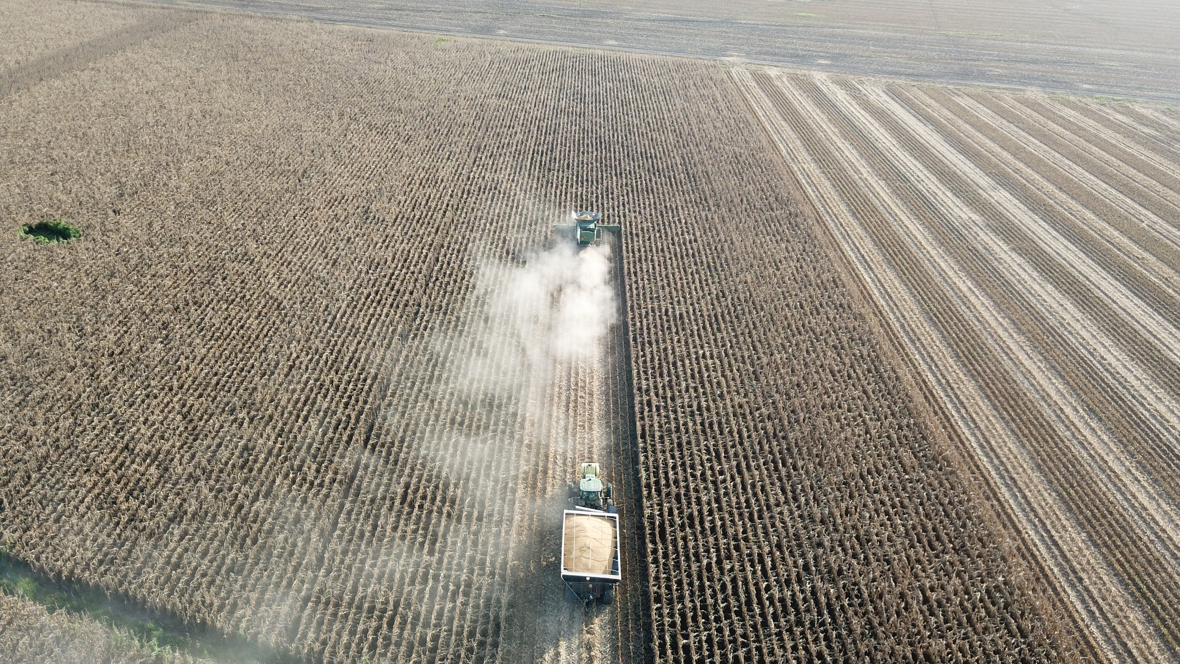 Economic Perspectives on Best Management Practices and Sustainable Production Strategies 